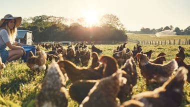 Wohlbefinden & Beschäftigung