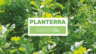 Planterra Zwischenfrüchte