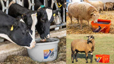 Crystalyx Aktion: Gratis-Gebinde sichern!