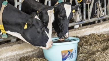 Ökologische Landwirtschaft