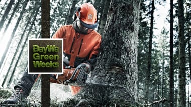 Schneiden wie ein Profi - mit Husqvarna & STIHL Motorsägen