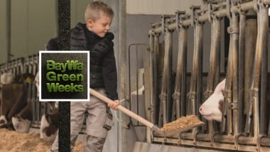 Spielwaren zu Knaller Preisen