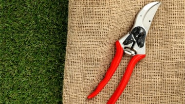 Baum- & Heckenscheren – Für den perfekten Winterschnitt