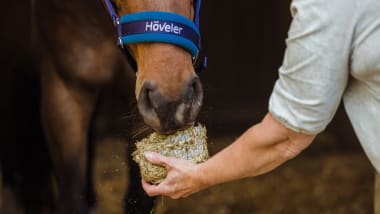 Raufutter und Heuersatz