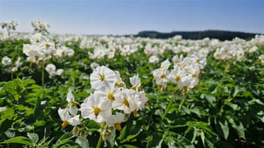 Mit Stärke in die neue Saison!