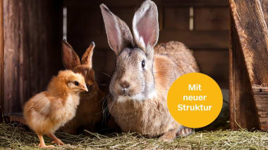 Ob Hühner oder Kaninchen – Ihre Tiere verdienen nur das Beste. Aktionsartikel zu Vorteilspreisen!