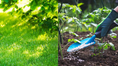 Profi-Dünger für den Gartenbau: Jetzt Aktionspreise sichern!