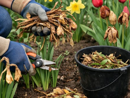 Garten und Beete pflegen