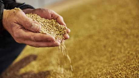 Handel ökologischer Erzeugnisse