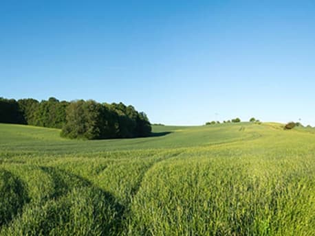 Ökologische Landwirtschaft alles rundum den Öko-Anbau und Tierhaltung