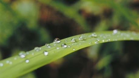 Maßnahmen gegen Hitze und Trockenheit Bewässerungssysteme