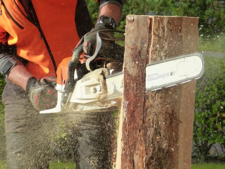 SWS Arbeitshandschuhe Forsthandschuhe, Schnittschutzhandschuhe