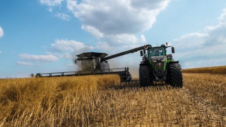Traktor erntet Raps