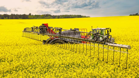 Blütenbehandlung im Raps