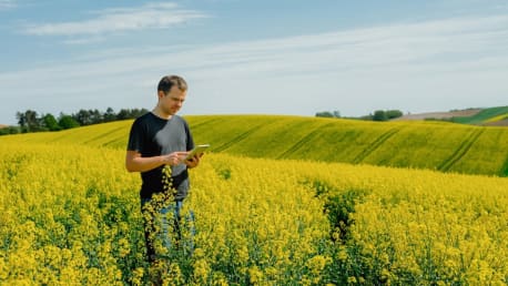 Landwirt mit Tablet im Rapsfeld