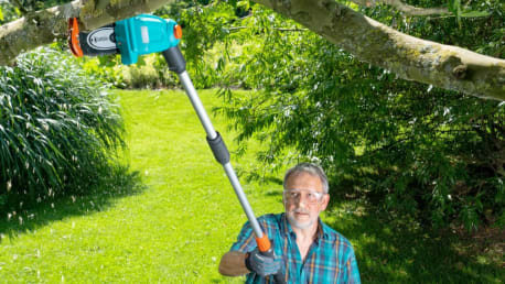 Mann schneidet Baum