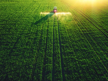 Feld wird mit Pflanzenschutzmitteln gespritzt