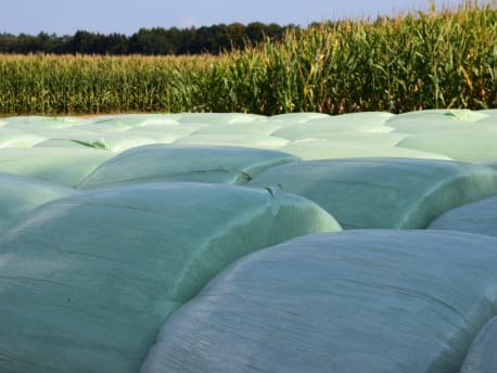 Siloballen in Plastikfolie