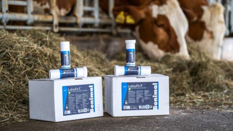 Bonimal VET LaktoFit Sortiment (Gratis Beigaben)