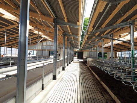 Milchviehstall Inneres