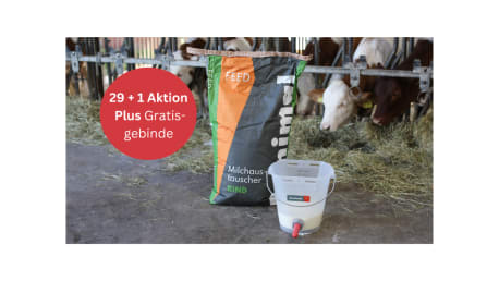 29+1 Aktion