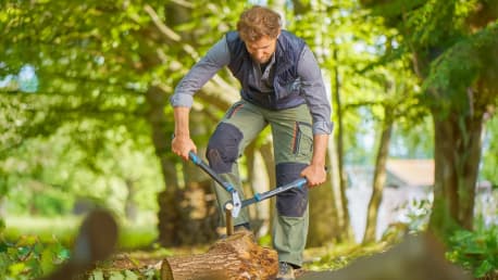 Perfekter Baumschnitt