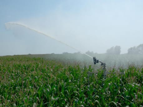 Regnerdüse beregnet Maisfeld