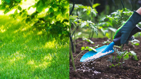 Profi-Dünger für den Gartenbau