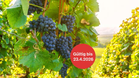 Weinbau Aktion 5 Prozent