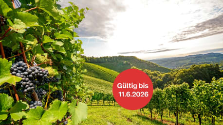 Weinbau Aktion 5 Prozent