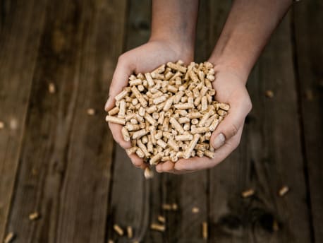 Holzpellets