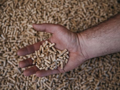 Pellets Lose