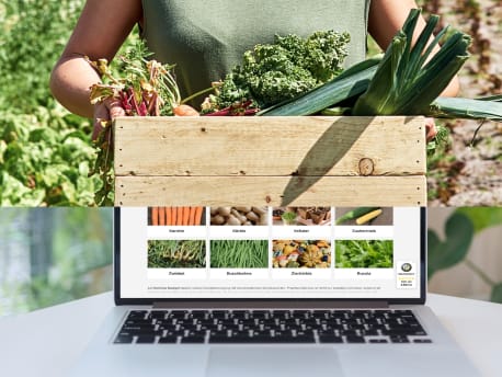Gemüsekiste geht über in Gemüsesamen-Onlineshop