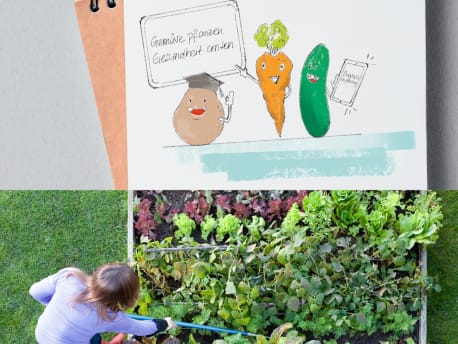 Gemüsegarten der BayWa Stiftung