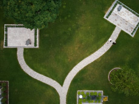 Garden path that forks, from above.