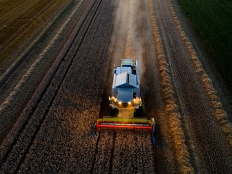 Combine harvester harvesting a grain field in the evening.