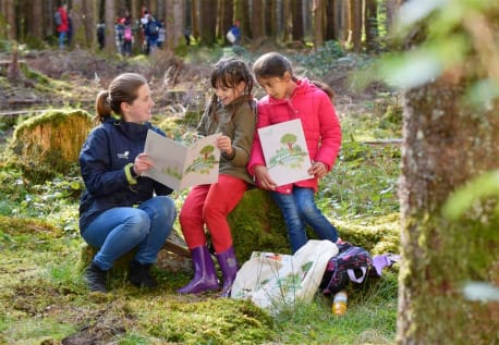 Kinder auf einem Baumstamm mit dem Waldtagebuch