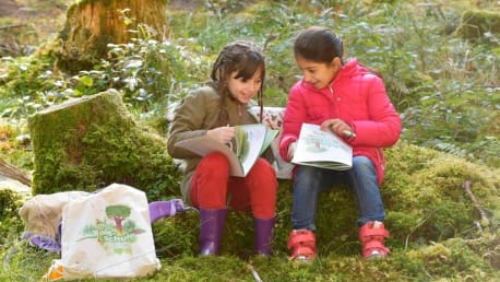 Projekt Waldschule der BayWa Stiftung