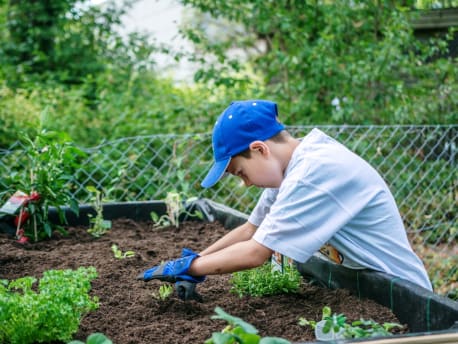 Kinder beim Aufbaue eines Hochbeets