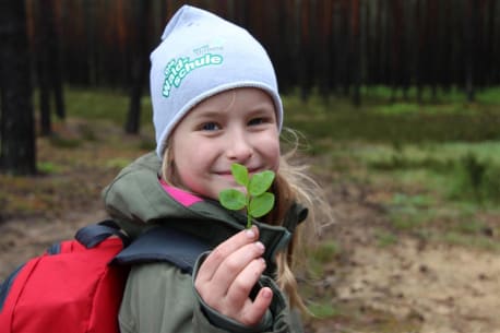 Kind beim Erkunden des Walds