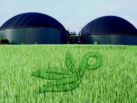 Grünes Feld mit Planterra Logo und Silos im Hintergrund