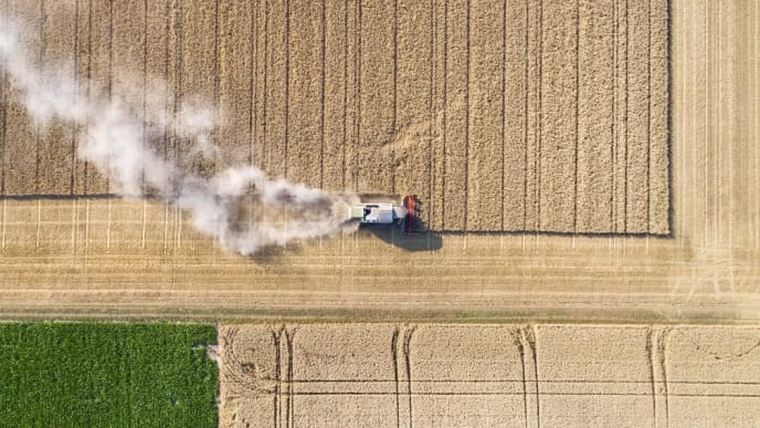 Landwirtschaftliche Produktion