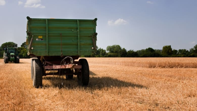 Anhänger auf dem Feld