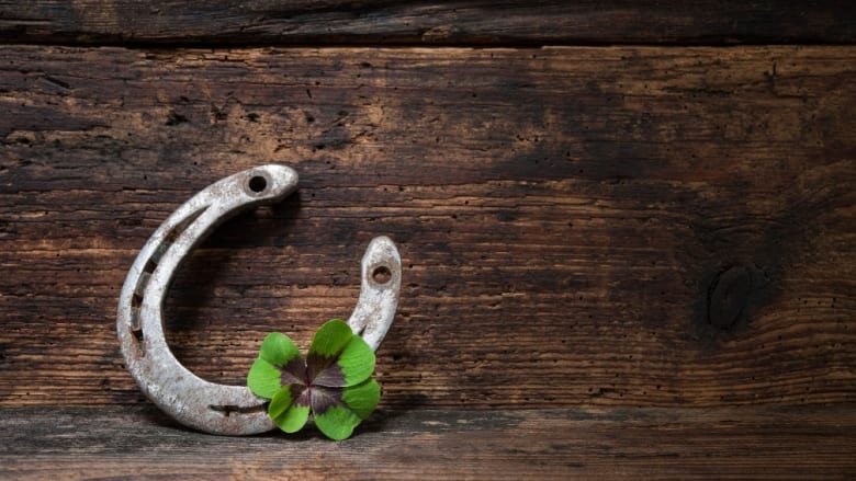 Preisnachlässen auf Werkstatthelfer, Sicherheitskameras und Gartengeräte wie Motorsägen und Heckenscheren