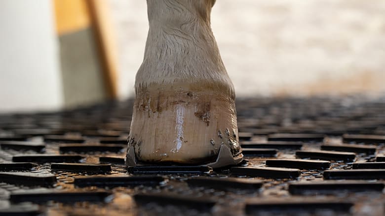 Rutschfeste Gummimatten
