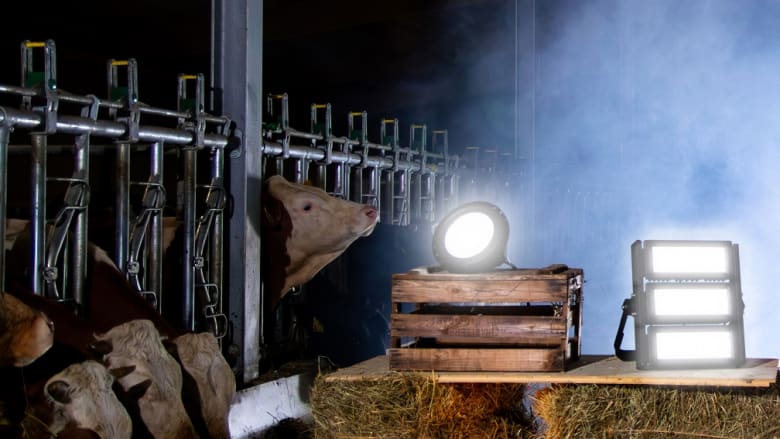 LED-Hallenstrahler und Feuchtraumleuchten von PATURA: Jetzt günstiger kaufen!