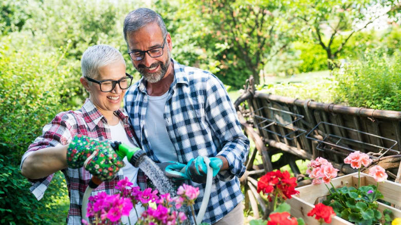 Aktion zur Gartensaison: Breite Auswahl an hochwertigen Düngern verschiedener Marken