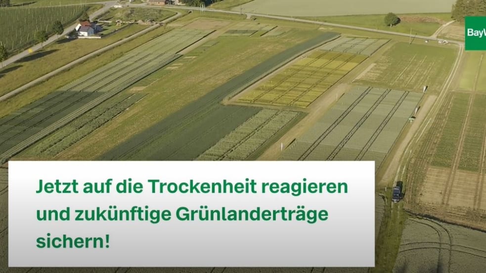 Grünland Trockenheit