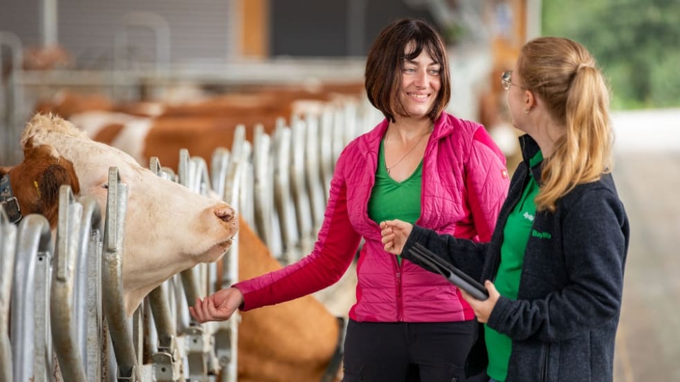 BayWa-Herdenmanagement im Beratungsgespräch bei Landwirtin Christine Eckl