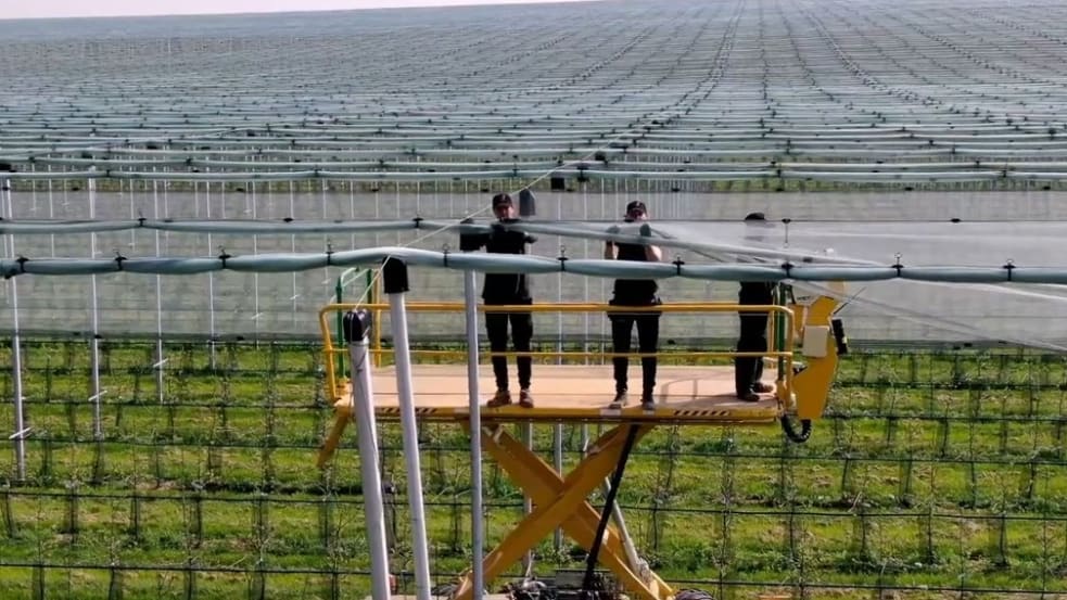 Hagelschutzsysteme über einer Obstplantage